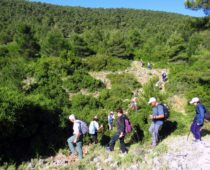 Κιθαιρώνας 01.06.2019