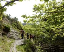 Ορτάρι Εύβοιας 05.05.2019