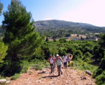 Κιθαιρώνας 01.06.2019