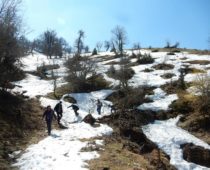 Κόζιακας 24.03.2019