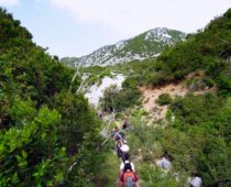 Ορτάρι Εύβοιας 05.05.2019