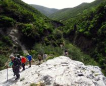 Ορτάρι Εύβοιας 05.05.2019