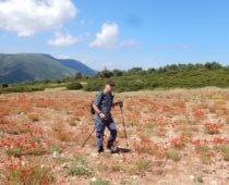 Κιθαιρώνας 01.06.2019