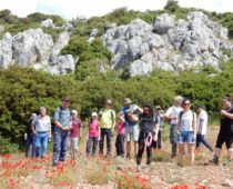 Κιθαιρώνας 01.06.2019