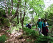 Ορτάρι Εύβοιας 05.05.2019