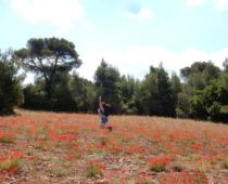 Κιθαιρώνας 01.06.2019