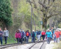 Φαράγγι Βουραϊκού 21.04.2019