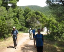 Κιθαιρώνας 01.06.2019