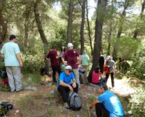 Κιθαιρώνας 01.06.2019