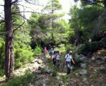 Κιθαιρώνας 01.06.2019