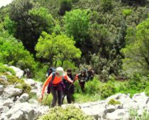 Ορτάρι Εύβοιας 05.05.2019