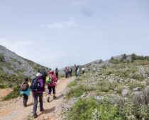 Ορτάρι Εύβοιας 05.05.2019