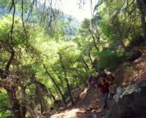 Ηφαίστειο Μεθάνων 29.09.2019