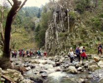 Φαράγγι Αγάλης 07.04.2019