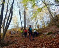 Δάσος Φρακτού 26.10.2019