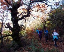 Καλλίδρομο – Κνημίδα 08.12.2019