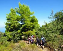 Ηφαίστειο Μεθάνων 29.09.2019