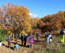 Καλλίδρομο – Κνημίδα 08.12.2019