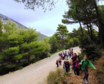 Πάρνηθα 20.01.2019