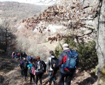 Νεστόριο 01.03.2020