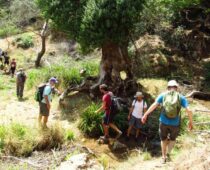 Καταρράκτες Νεμούτας 05.09.2020