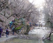 Νεστόριο 01.03.2020