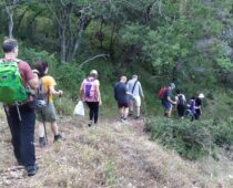 Φαράγγι Νηλέα 21.06.2020