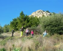 Σαλαμίνα 02.02.2020