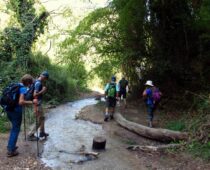 Καταρράκτες Νεμούτας 05.09.2020