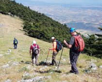 Κιθαιρώνας 24.05.2020