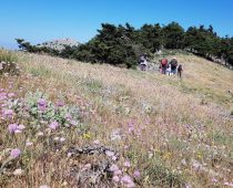 Κιθαιρώνας 24.05.2020