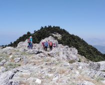 Κιθαιρώνας 24.05.2020