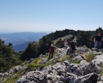 Κιθαιρώνας 24.05.2020