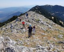 Κιθαιρώνας 24.05.2020