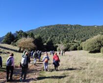 Παρνασσός – Κωρύκειο Άντρο 21.11.2021