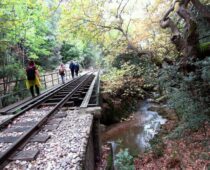 Βουραϊκός 24.10.2021