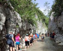 Χαλκιόπουλο Βάλτου 21.06.2021