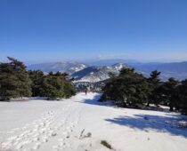 Κιθαιρώνας 06.02.2022