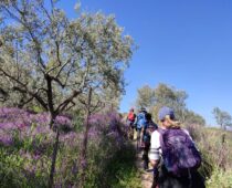 Ακροκόρινθος 10.04.2022