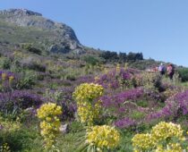 Ακροκόρινθος 10.04.2022