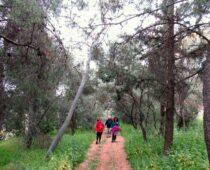 Λόφοι της Αθήνας 17.04.2022