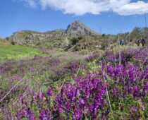 Ακροκόρινθος 10.04.2022