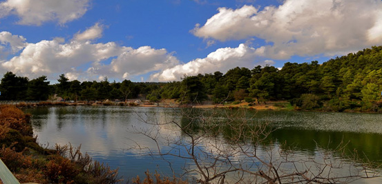 tatoi1