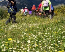 Ανάβαση στην  Σπηλιώτισσα – Λακωνική Μάνη 26.03.2016