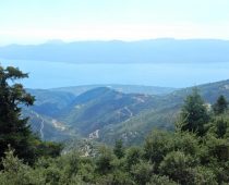 Η Τριχωνίδα απο το Παναιτωλικό 25.09.2016