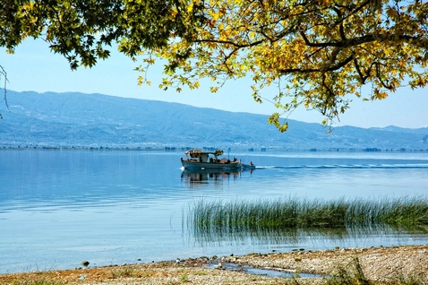 Τριχωνίδα 4