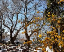 Πήλιο 24.03.2017
