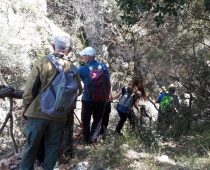 Σοφικό 08.04.2017