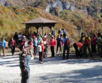 Δάσος Φρακτού 26.10.2019