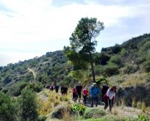Σαλαμίνα 02.02.2020